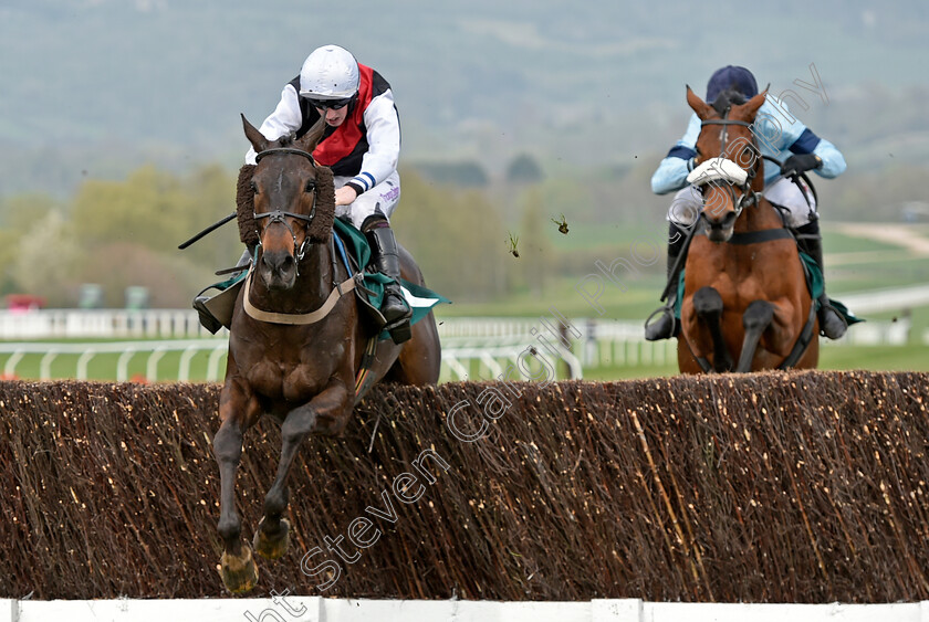 Molly-Childers-0001 
 MOLLY CHILDERS (Ciaran Gethings)
Cheltenham 18 Apr 2019 - Pic Steven Cargill / Racingfotos.com