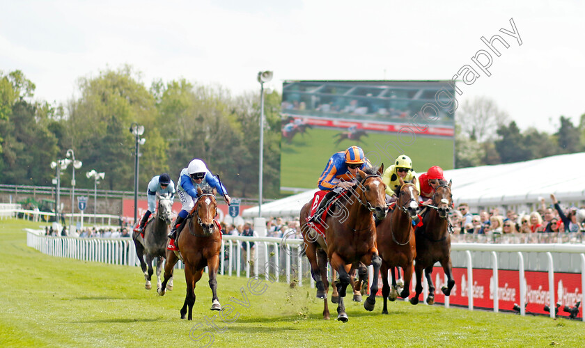 Star-Of-India-0004 
 STAR OF INDIA (Ryan Moore) wins The Homeserve Dee Stakes
Chester 5 May 2022 - Pic Steven Cargill / Racingfotos.com