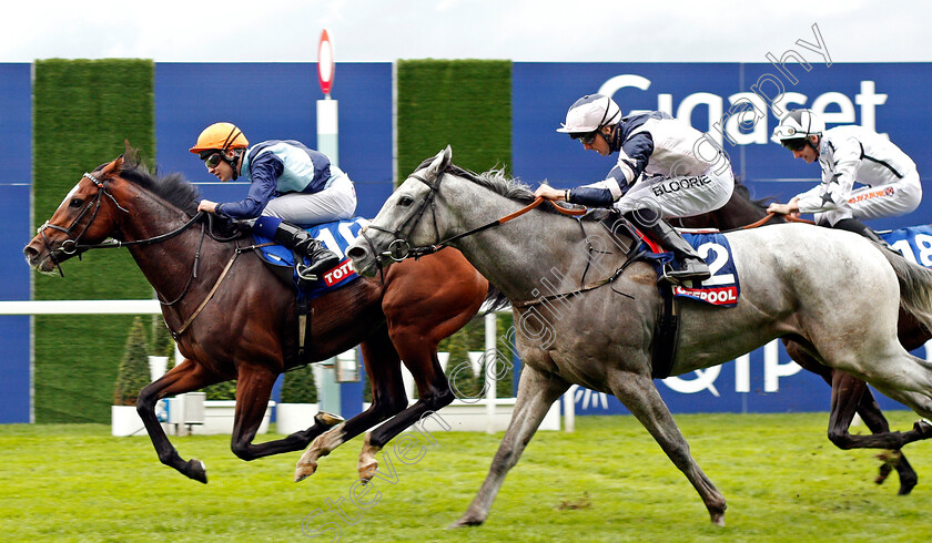 Accidental-Agent-0005 
 ACCIDENTAL AGENT (left, Charles Bishop) beats LORD GLITTERS (right) in The Totescoop6 Challenge Cup Ascot 7 Oct 2017 - Pic Steven Cargill / Racingfotos.com