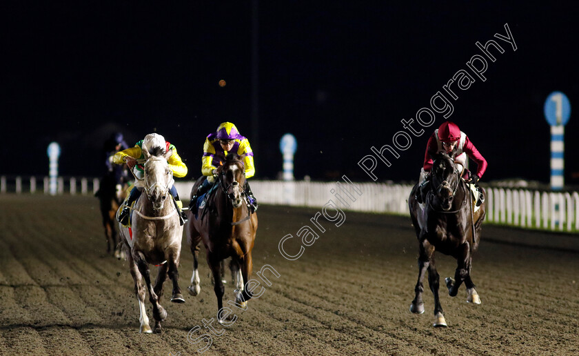 Champagne-Prince-0003 
 CHAMPAGNE PRINCE (William Buick) beats EYDON (right) in The Unibet Wild Flower Stakes
Kempton 11 Dec 2024 - Pic Steven Cargill / Racingfotos.com