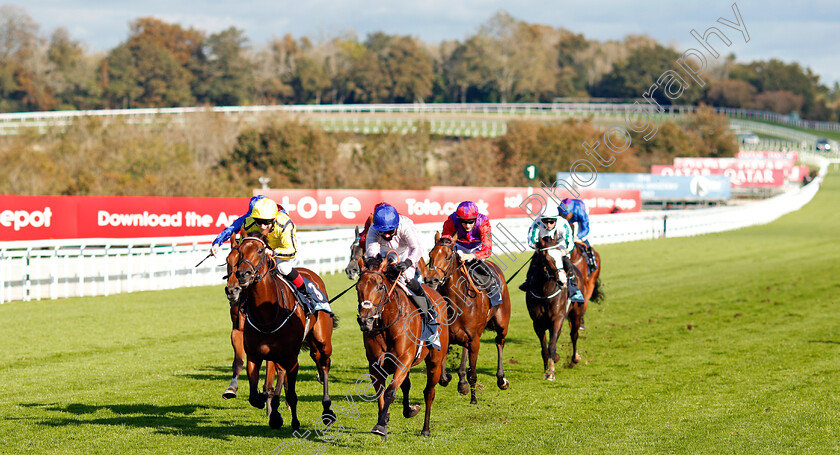 Onassis-0002 
 ONASSIS (right, Hayley Turner) beats WITH THANKS (left) in The British EBF October Fillies Stakes
Goodwood 11 Oct 2020 - Pic Steven Cargill / Racingfotos.com