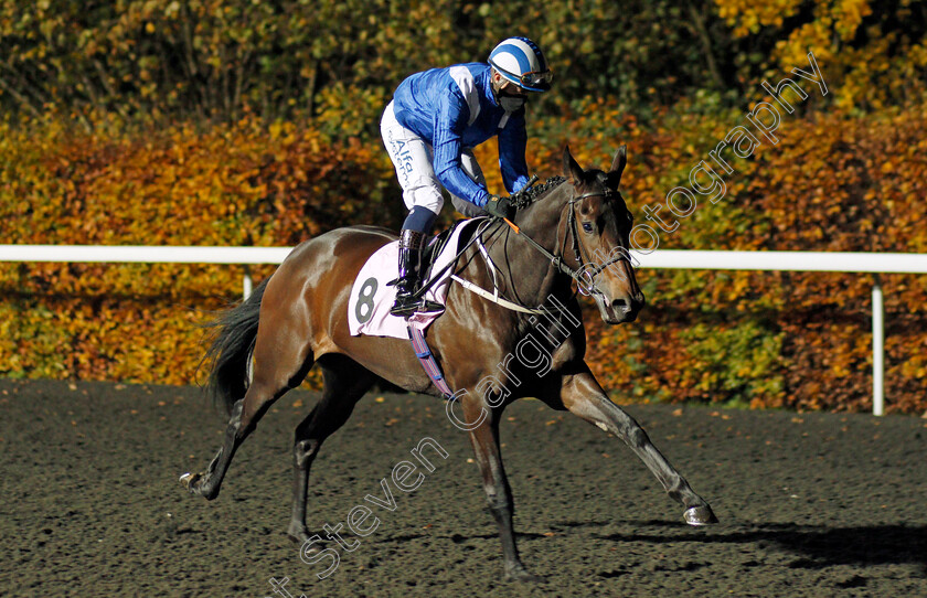 Khezaana-0001 
 KHEZAANA (Jim Crowley)
Kempton 11 Nov 2020 - Pic Steven Cargill / Racingfotos.com