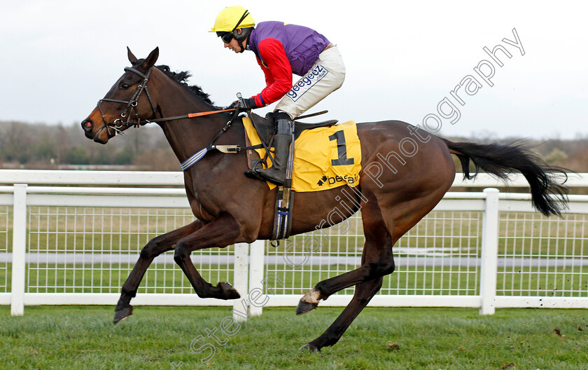 Dashel-Drasher 
 DASHEL DRASHER (Rex Dingle)
Ascot 19 Feb 2022 - Pic Steven Cargill / Racingfotos.com