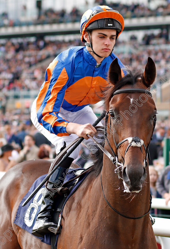 Seahenge-0001 
 SEAHENGE (Donnacha O'Brien) winner of The Howcroft Industrial Supplies Champagne Stakes Doncaster 16 Sep 2017 - Pic Steven Cargill / Racingfotos.com