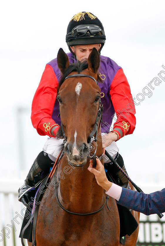 Sextant-0001 
 SEXTANT (Ryan Moore)
Newbury 17 Aug 2019 - Pic Steven Cargill / Racingfotos.com