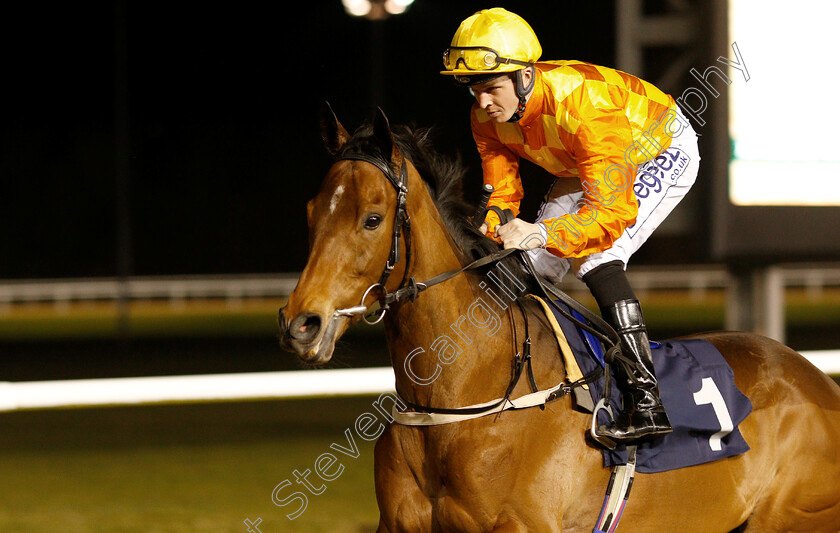 Flaming-Marvel-0001 
 FLAMING MARVEL (David Probert) before winning The Betway Live Casino Handicap
Wolverhampton 26 Feb 2019 - Pic Steven Cargill / Racingfotos.com