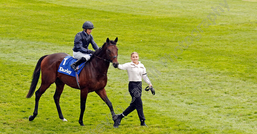 County-Mayo-0001 
 COUNTY MAYO (Wayne Lordan)
Newmarket 12 Oct 2024 - Pic Steven Cargill / Racingfotos.com