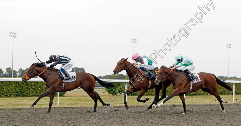 Piloto-Pardo-0004 
 PILOTO PARDO (Sam Hitchcott) beats KHISAH BU THAILA (right) and FIRE DEMON (centre) in The Recticel Insulation / British Stallion Studs EBF Novice Stakes
Kempton 8 Sep 2023 - Pic Steven Cargill / Racingfotos.com