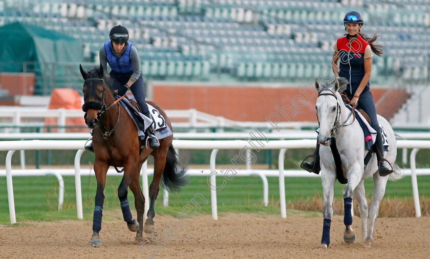 Hala-Abrar-and-Batwan-0001 
 HALA ABRAR (left) with BATWAN (right) training at the Dubai Racing Carnival 
Meydan 4 Jan 2024 - Pic Steven Cargill / Racingfotos.com