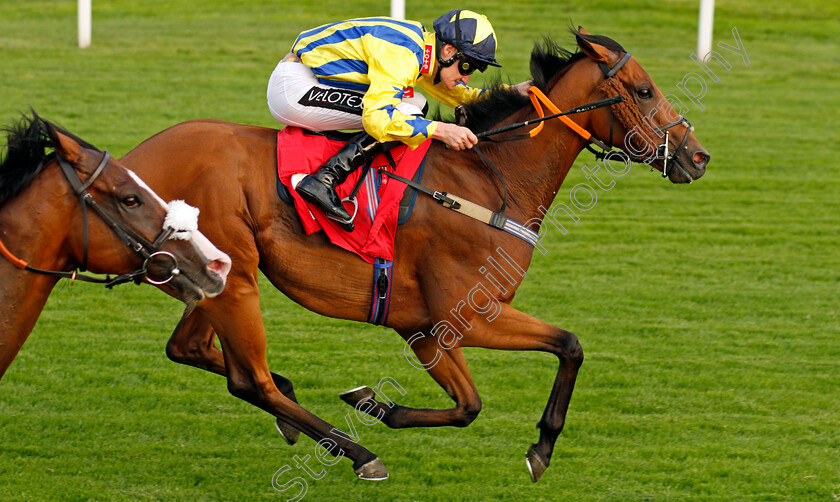 Lyndon-B-0006 
 LYNDON B (Daniel Muscutt) wins The Hwfa Williams Handicap
Sandown 21 Jul 2021 - Pic Steven Cargill / Racingfotos.com