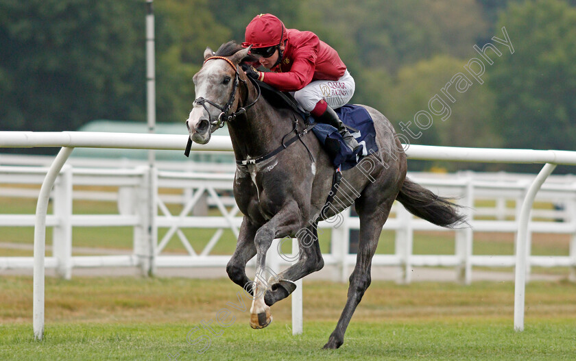 Lost-In-Space-0007 
 LOST IN SPACE (Oisin Murphy) wins The Betway Novice Stakes
Lingfield 14 Aug 2020 - Pic Steven Cargill / Racingfotos.com