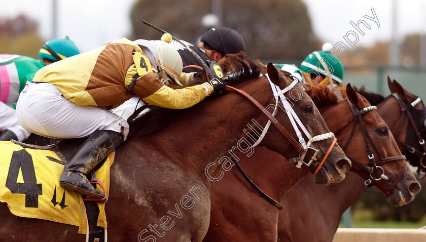 Dutch-Parrot-0001 
 DUTCH PARROT (Ricardo Santana Jr) wins Allowance Optional Claimer
Churchill Downs USA 2 Nov 2018 - Pic Steven Cargill / Racingfotos.com