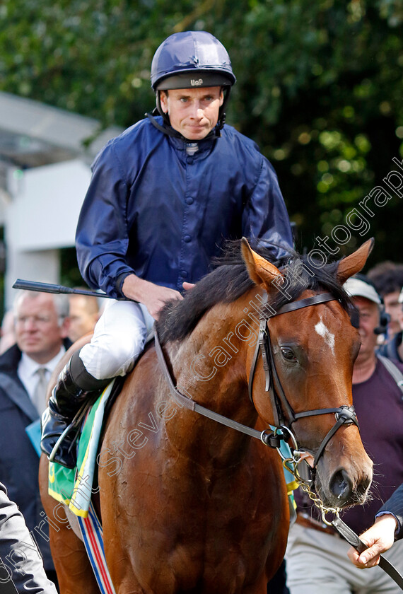 City-Of-Troy-0010 
 CITY OF TROY (Ryan Moore) winner of The bet365 Superlative Stakes
Newmarket 15 Jul 2023 - Pic Steven Cargill / Racingfotos.com