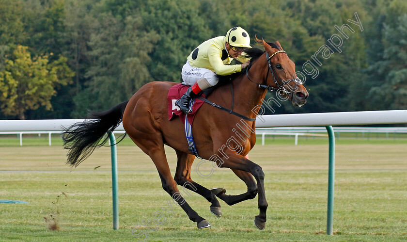 Night-Sparkle-0004 
 NIGHT SPARKLE (Andrea Atzeni) wins The Parbold Handicap
Haydock 2 Sep 2022 - Pic Steven Cargill / Racingfotos.com