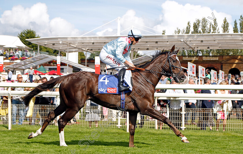 Lordship-0002 
 LORDSHIP (Tom Marquand)
York 26 Aug 2023 - Pic Steven Cargill / Racingfotos.com