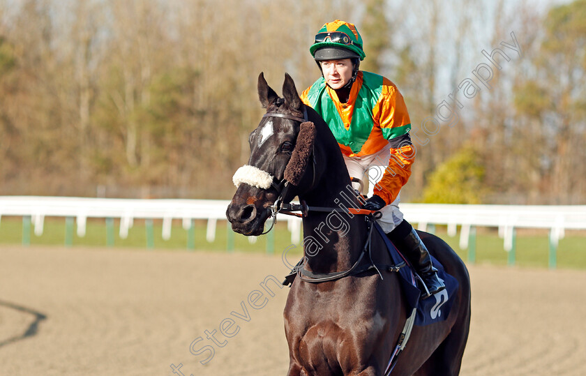 First-Link-0001 
 FIRST LINK (Hayley Turner)
Lingfield 8 Feb 2020 - Pic Steven Cargill / Racingfotos.com