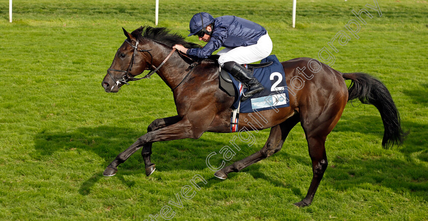 Battle-Cry-0002 
 BATTLE CRY (Ryan Moore) wins The British EBF 40th Anniversary Convivial Maiden Stakes
York 25 Aug 2023 - Pic Steven Cargill / Racingfotos.com