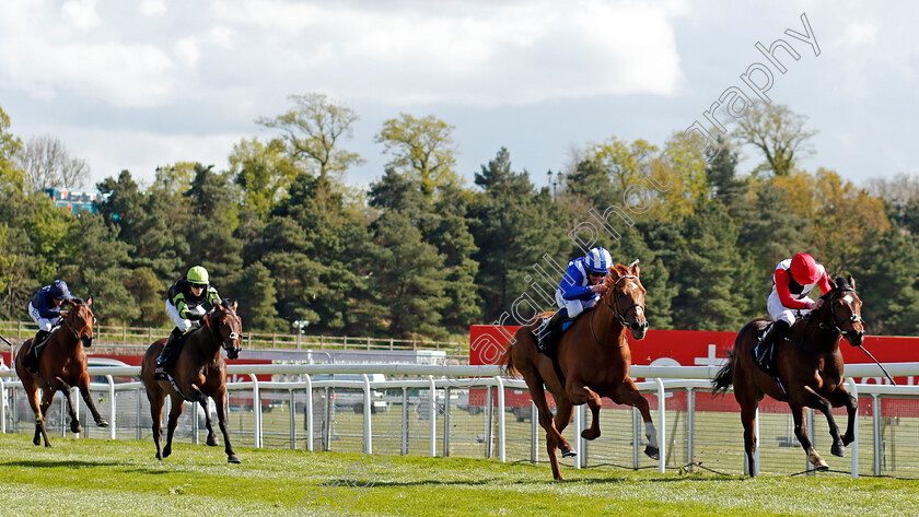 Alfaadhel-0003 
 ALFAADHEL (2nd right, Jim Crowley) beats IMMELMANN (right) in The Boodles Maiden Stakes
Chester 5 May 2021 - Pic Steven Cargill / Racingfotos.com