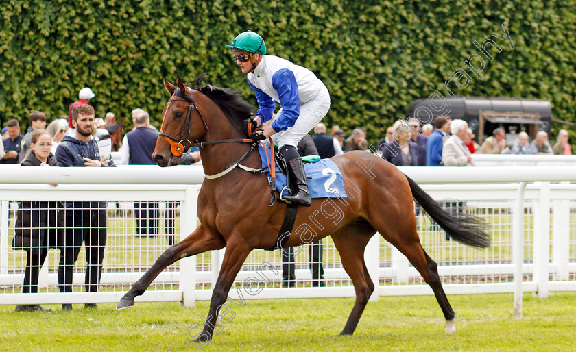 Aysgarth-0001 
 AYSGARTH (John Fahy)
Salisbury 16 Jun 2024 - Pic Steven Cargill / Racingfotos.com