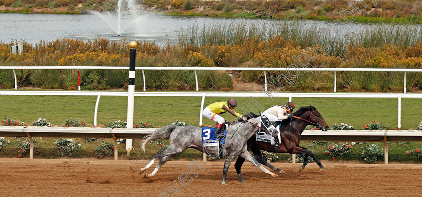 Destin-0001 
 DESTIN (left, John Velazquez) beats INFOBEDAD (right) in The Marathon Stakes Del Mar USA 3 Nov 2017 - Pic Steven Cargill / Racingfotos.com