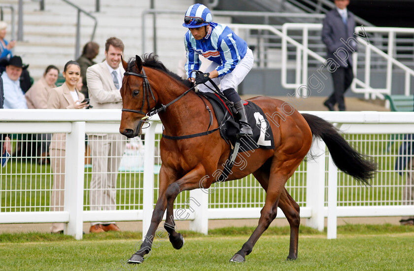 Rock-Hunter-0001 
 ROCK HUNTER (Silvestre De Sousa)
Ascot 1 May 2024 - Pic Steven Cargill / Racingfotos.com