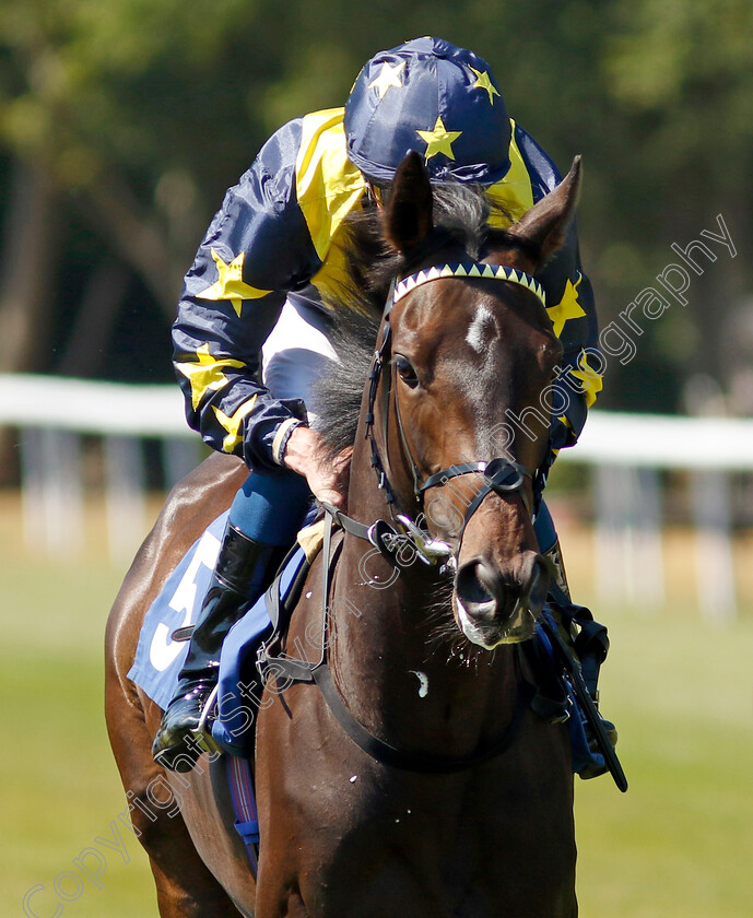 Peace-Of-Mine-0002 
 PEACE OF MINE (William Buick) winner of The Byerley Stud British EBF Restricted Maiden Stakes
Salisbury 11 Aug 2022 - Pic Steven Cargill / Racingfotos.com