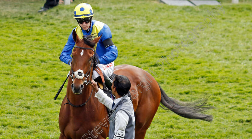 Desert-Crown-0001 
 DESERT CROWN before winning The Cazoo Derby
Epsom 4 Jun 2022 - Pic Steven Cargill / Racingfotos.com