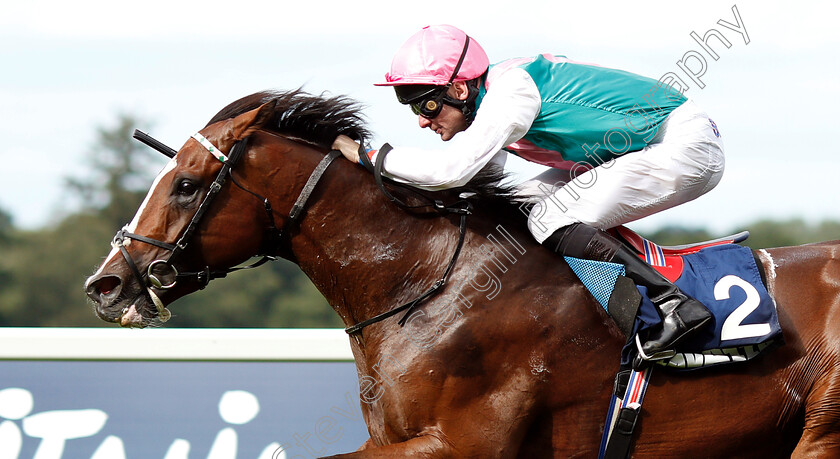 First-Eleven-0005 
 FIRST ELEVEN (Robert Havlin) wins The Lavazza Handicap
Ascot 8 Sep 2018 - Pic Steven Cargill / Racingfotos.com