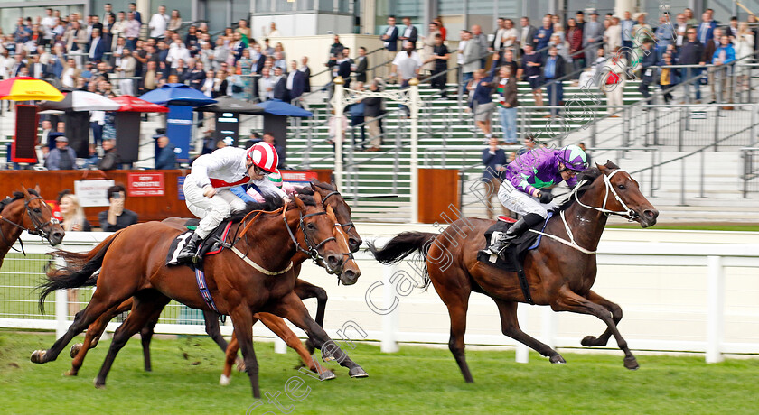 Lord-Bertie-0003 
 LORD BERTIE (right, Jonny Peate) beats UNITED APPROACH (left) in The Ascot Iron Stand Membership Classified Stakes
Ascot 6 Sep 2024 - Pic Steven Cargill / Racingfotos.com