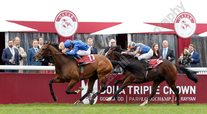 Wild-Illusion-0002 
 WILD ILLUSION (William Buick) wins The Prix De L'Opera
Longchamp 7 Oct 2018 - Pic Steven Cargill / Racingfotos.com