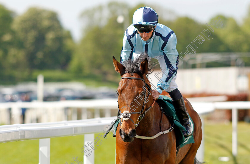 Hortzadar 
 HORTZADAR (Daniel Tudhope)
York 12 May 2022 - Pic Steven Cargill / Racingfotos.com