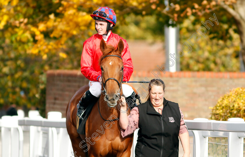 Mexicali-Rose-0001 
 MEXICALI ROSE (Rossa Ryan)
Newmarket 19 Oct 2022 - Pic Steven Cargill / Racingfotos.com