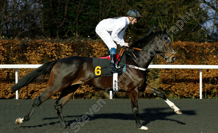 Lumination-0002 
 LUMINATION (Rob Hornby)
Kempton 6 Mar 2019 - Pic Steven Cargill / Racingfotos.com