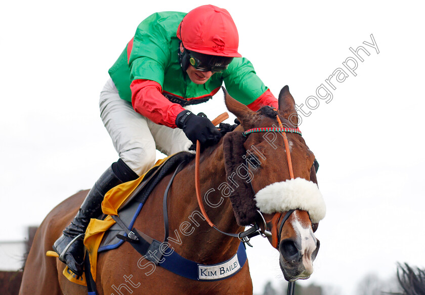 Two-For-Gold 
 TWO FOR GOLD (David Bass)
Ascot 19 Feb 2022 - Pic Steven Cargill / Racingfotos.com