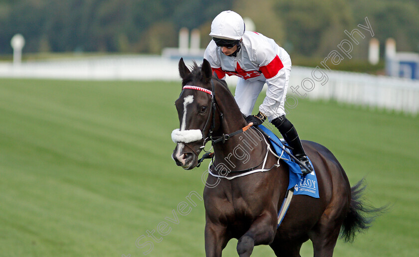 Independence-0002 
 INDEPENDENCE (Thomas Greatrex)
Ascot 1 Oct 2021 - Pic Steven Cargill / Racingfotos.com