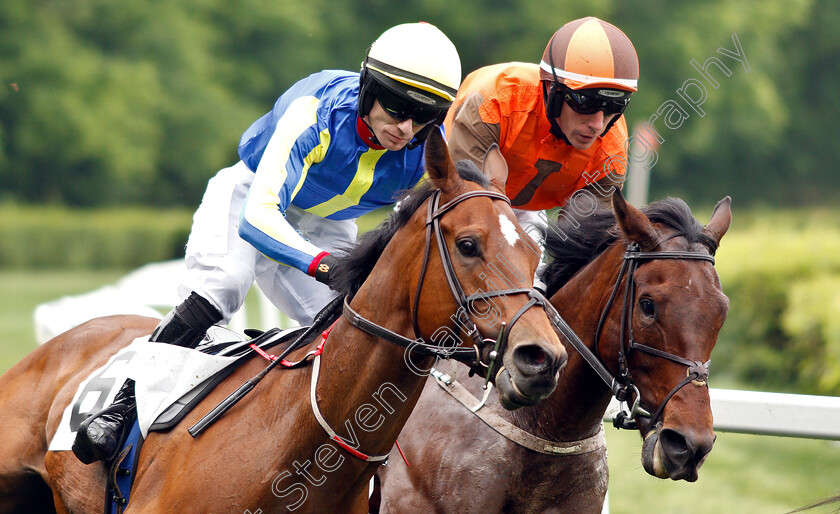 Our-Legend-and-Cite-0001 
 OUR LEGEND (left, Sean McDermott) with CITE (right, Willie McCarthy)
Percy Warner Park, Nashville USA, 11 May 2019 - Pic Steven Cargill / Racingfotos.com