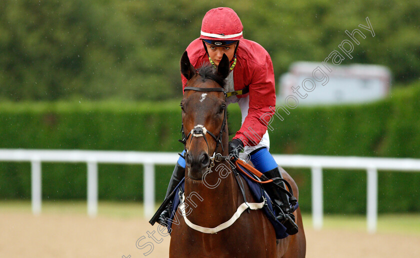 Omotesando-0001 
 OMOTESANDO (Megan Nicholls)
Wolverhampton 17 Jul 2019 - Pic Steven Cargill / Racingfotos.com