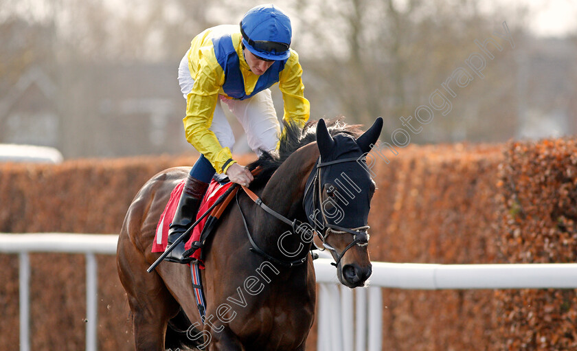 Jellmood-0001 
 JELLMOOD (Daniel Muscutt) Kempton 7 Apr 2018 - Pic Steven Cargill / Racingfotos.com