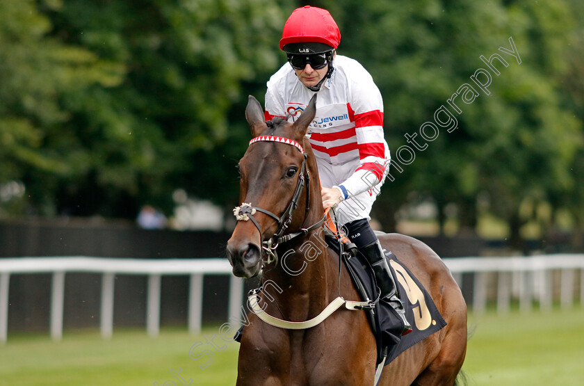 Manila-Mist-0001 
 MANILA MIST (Robert Havlin)
Newmarket 30 Jun 2023 - Pic Steven Cargill / Racingfotos.com