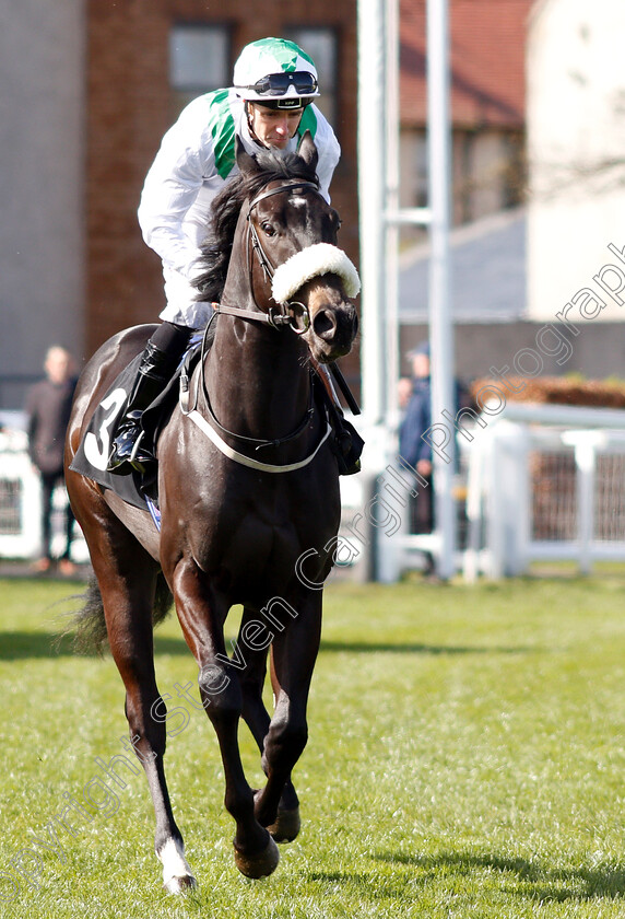 Coast-Ofalfujairah-0001 
 COAST OFALFUJAIRAH (Tom Eaves)
Musselburgh 2 Apr 2019 - Pic Steven Cargill / Racingfotos.com