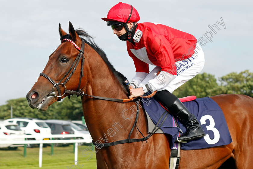 El-Picaro-0001 
 EL PICARO (Jack Mitchell)
Yarmouth 14 Jul 2021 - Pic Steven Cargill / Racingfotos.com