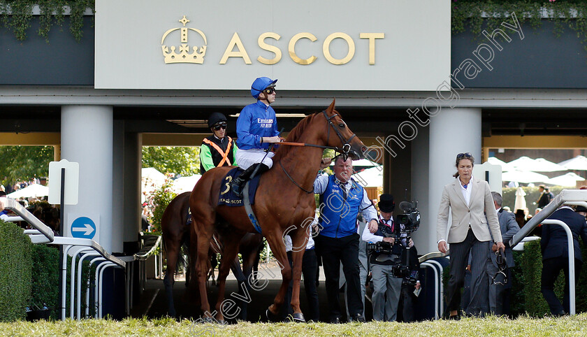 Masar-0001 
 MASAR (James Doyle)
Royal Ascot 22 Jun 2019 - Pic Steven Cargill / Racingfotos.com