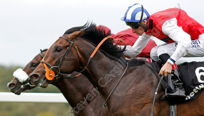 Positive-0009 
 POSITIVE (Adam Kirby) wins The Betway Solario Stakes
Sandown 31 Aug 2019 - Pic Steven Cargill / Racingfotos.com