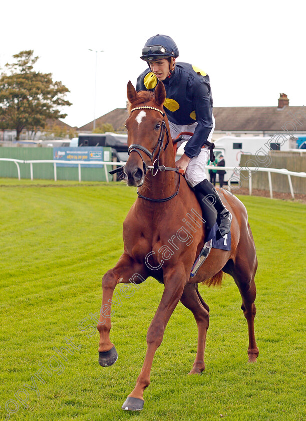 Dramatic-Queen-0001 
 DRAMATIC QUEEN (James Doyle) winner of The Breeders Backing Racing EBF Fillies Novice Stakes Yarmouth 24 Oct 2017 - Pic Steven Cargill / Racingfotos.com