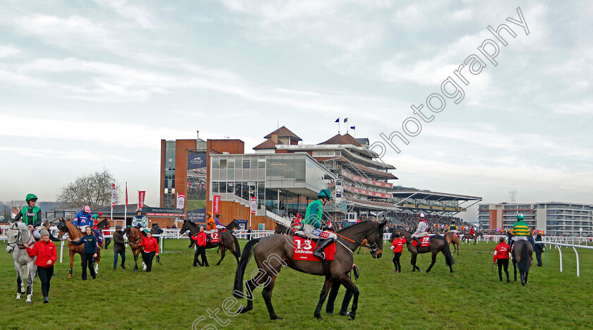 Borice-0001 
 BORICE (Daryl Jacob)
Newbury 30 Nov 2019 - Pic Steven Cargill / Racingfotos.com