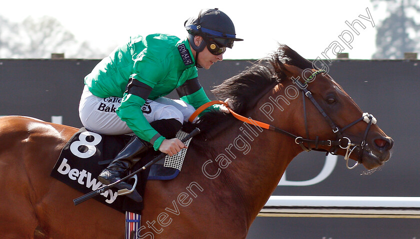 Kachy-0008 
 KACHY (Richard Kingscote) wins The Betway All-Weather Sprint Championships Stakes
Lingfield 19 Apr 2019 - Pic Steven Cargill / Racingfotos.com