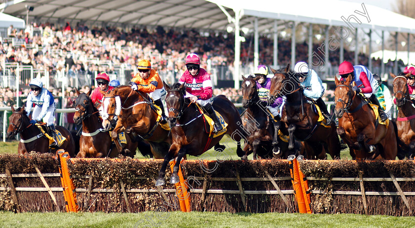 Apple s-Jade-0004 
 APPLE'S JADE (Jack Kennedy)
Aintree 6 Apr 2019 - Pic Steven Cargill / Racingfotos.com