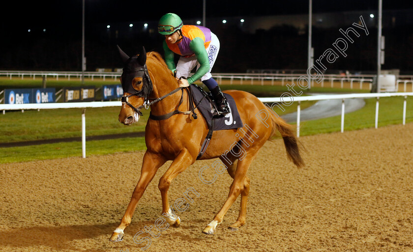 Enpassant-0001 
 ENPASSANT (Marco Ghiani)
Wolverhampton 20 Dec 2024 - Pic Steven Cargill / Racingfotos.com