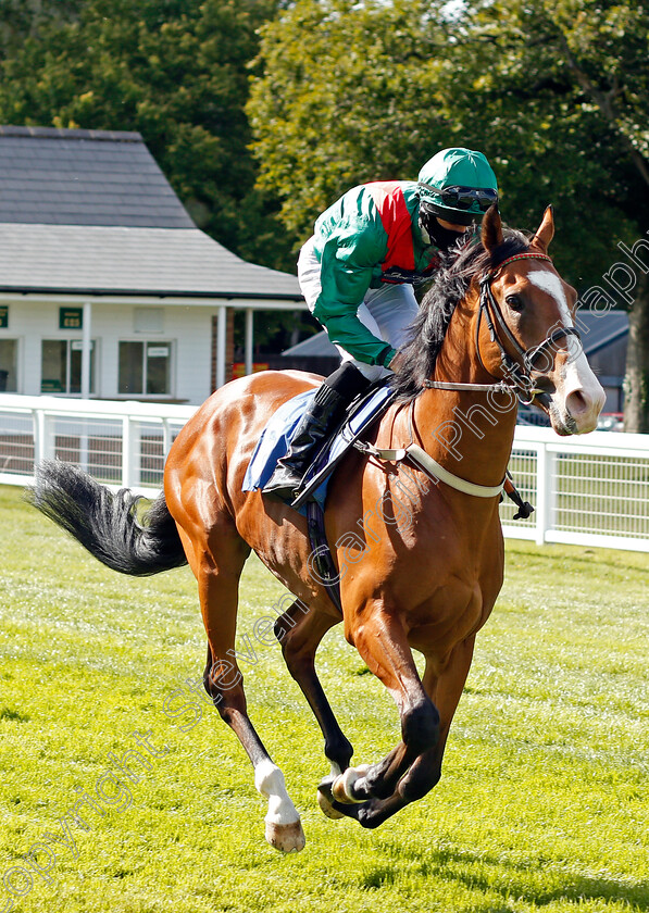 Downsman-0001 
 DOWNSMAN (Charlie Bennett)
Salisbury 11 Jul 2020 - Pic Steven Cargill / Racingfotos.com