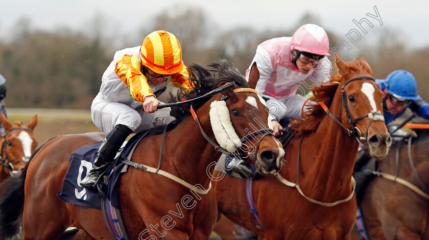 The-Conqueror-0002 
 THE CONQUEROR (Ethan Jones) wins The Boost Your Acca-Fenwa With BetUk Handicap
Lingfield 23 Dec 2023 - Pic Steven Cargill / Racingfotos.com